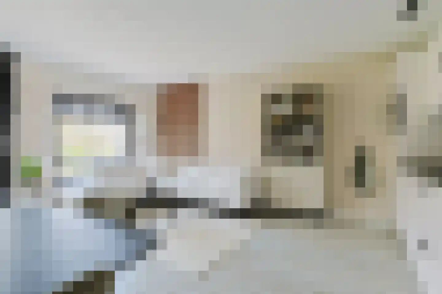 Schelfhorst 5 Alphen aan den Rijn thumbnail 14