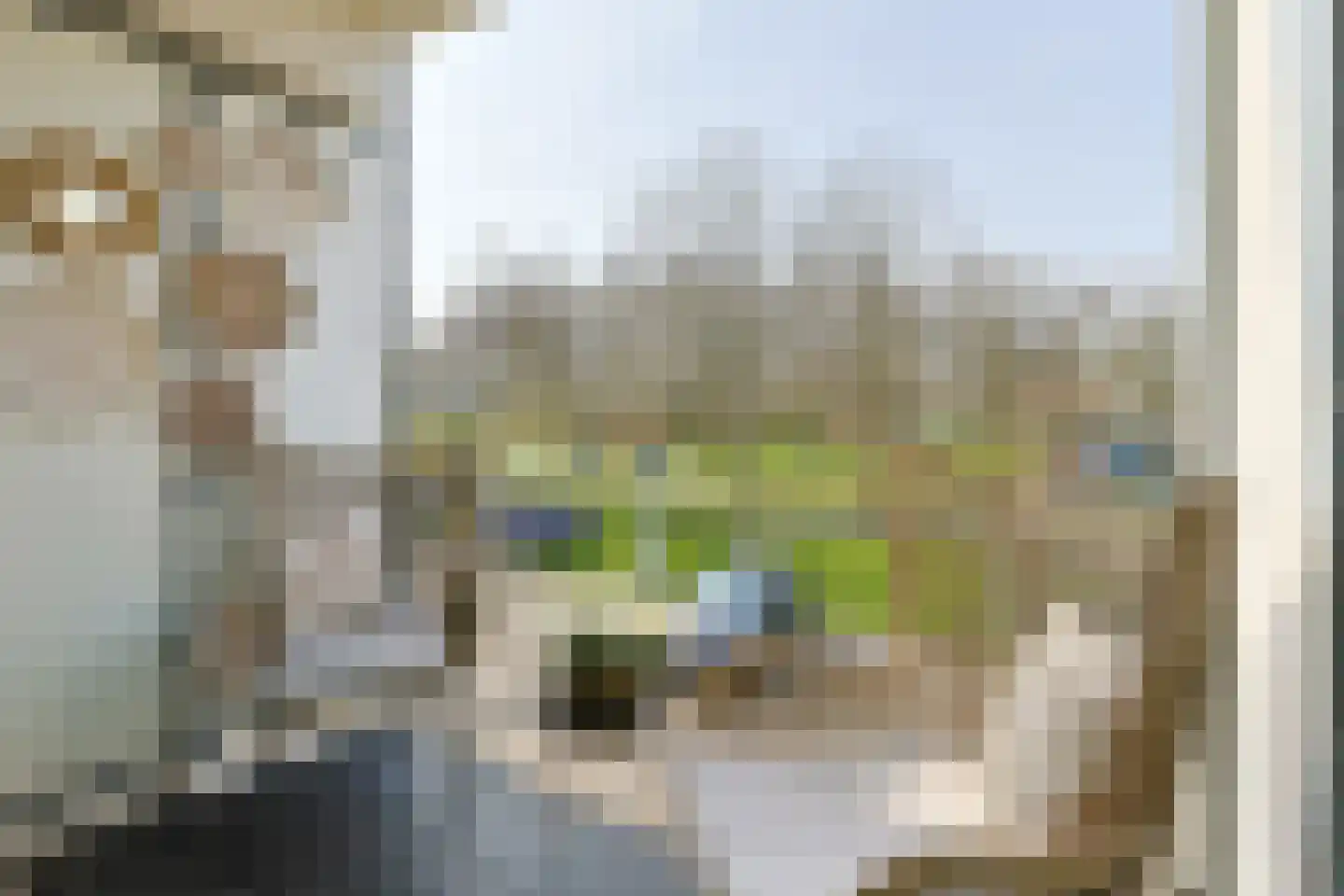Schelfhorst 5 Alphen aan den Rijn thumbnail 32