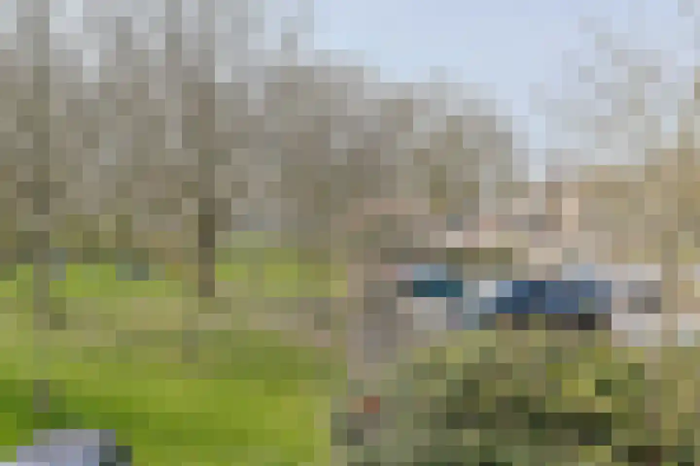 Schelfhorst 5 Alphen aan den Rijn thumbnail 36