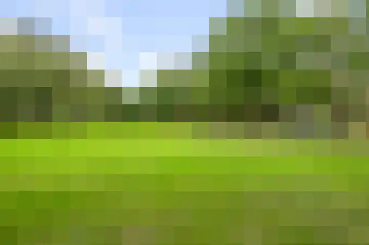 Schelfhorst 69 Alphen aan den Rijn thumbnail 17
