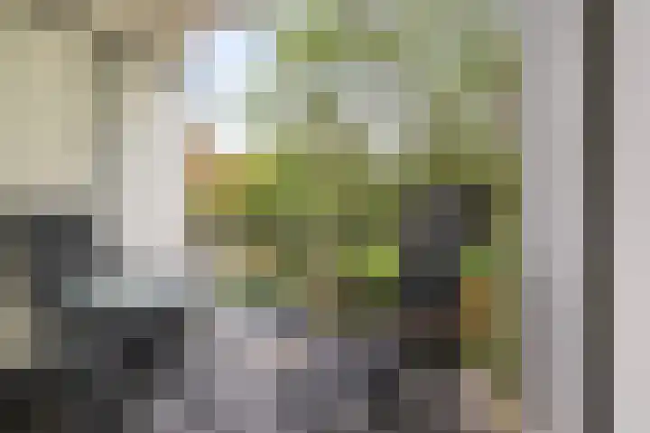 Schelfhorst 69 Alphen aan den Rijn thumbnail 4