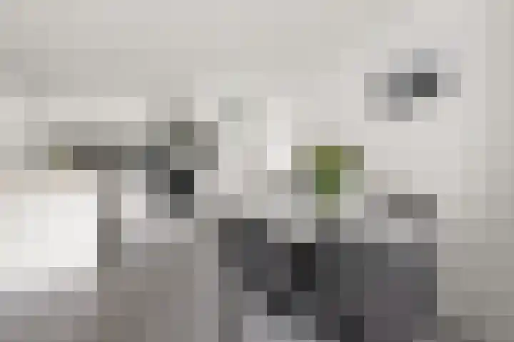 Schelfhorst 69 Alphen aan den Rijn thumbnail 8