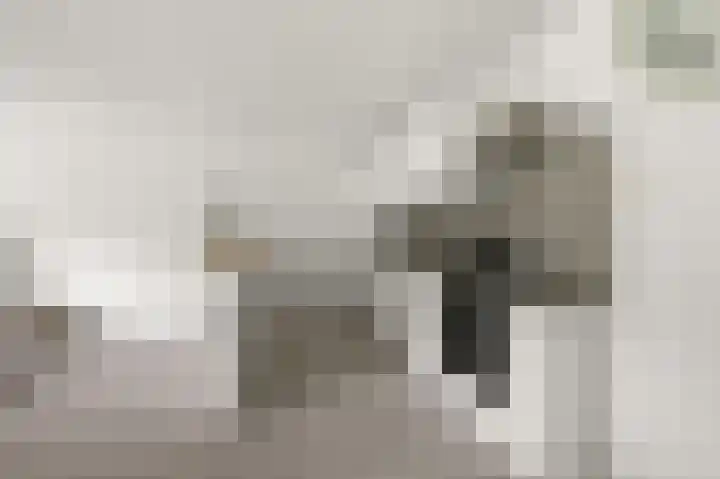 Schelfhorst 69 Alphen aan den Rijn thumbnail 9