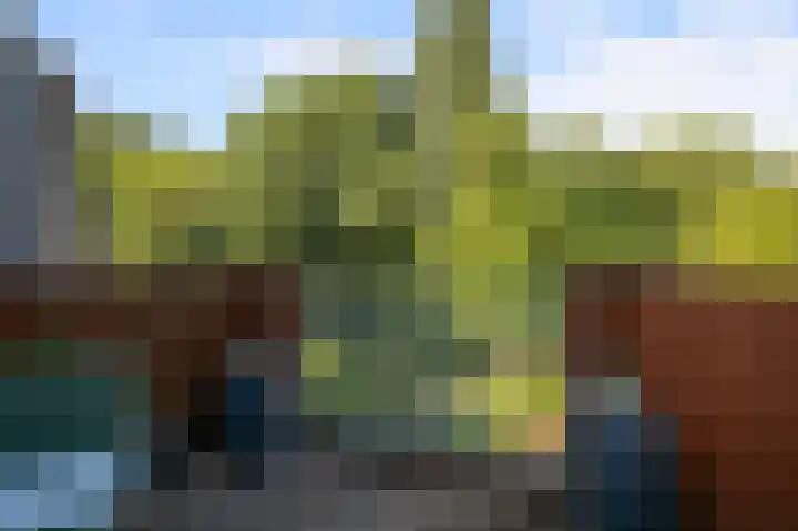 Schelfhorst 77 Alphen aan den Rijn thumbnail 18