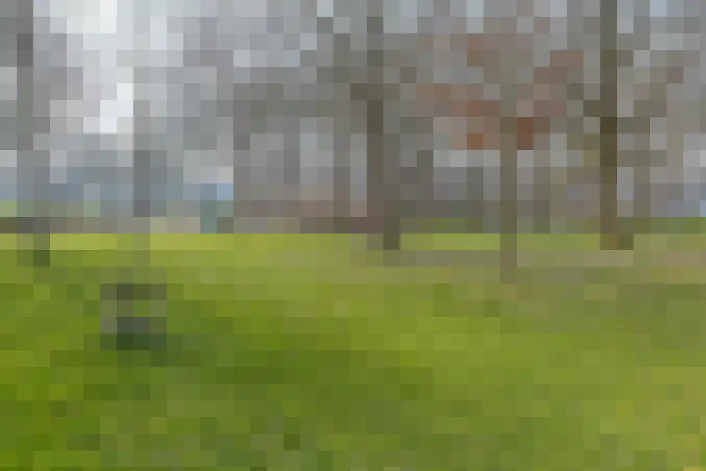 Schelfhorst 9 Alphen aan den Rijn thumbnail 33
