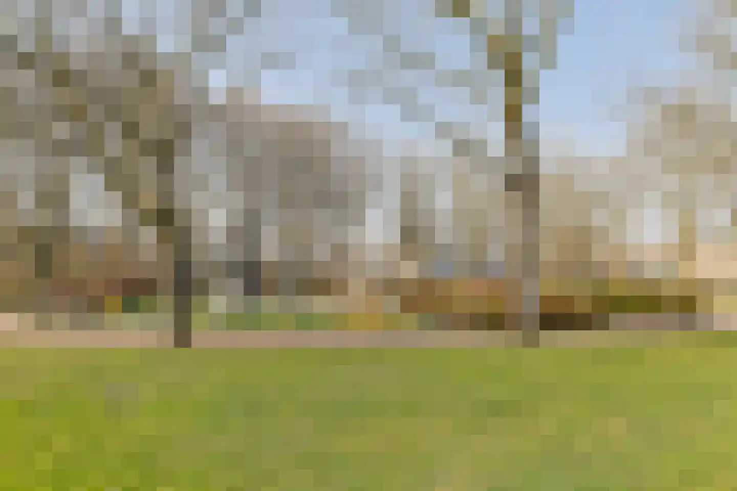 Schelfhorst 9 Alphen aan den Rijn thumbnail 34