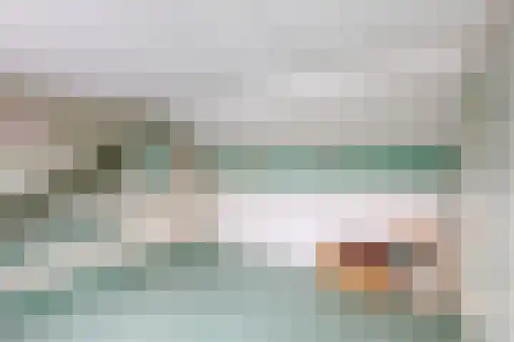 Schelfhout 12 Monster thumbnail 10