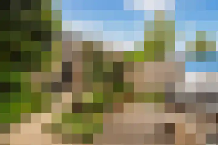 Schelfhout 12 Monster thumbnail 17