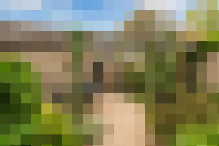 Schelfhout 12 Monster thumbnail 18