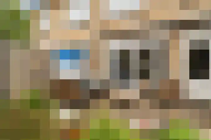 Schelfhout 12 Monster thumbnail 20