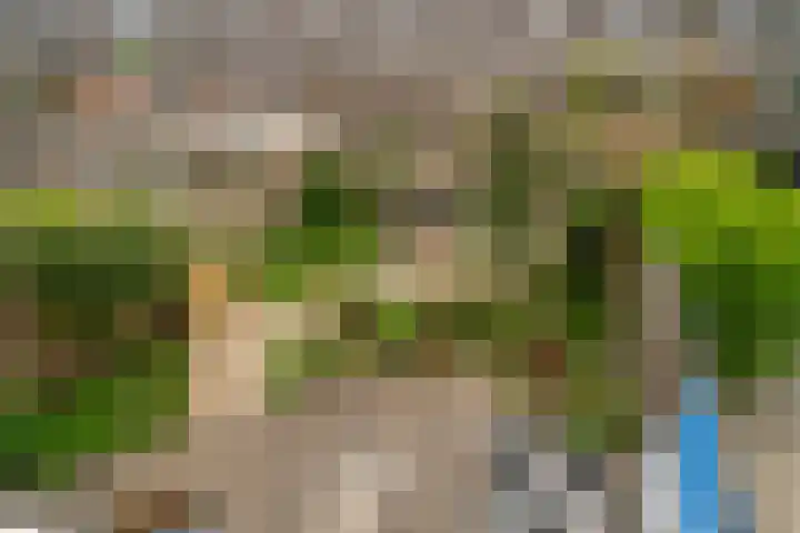 Schelfhout 12 Monster thumbnail 21