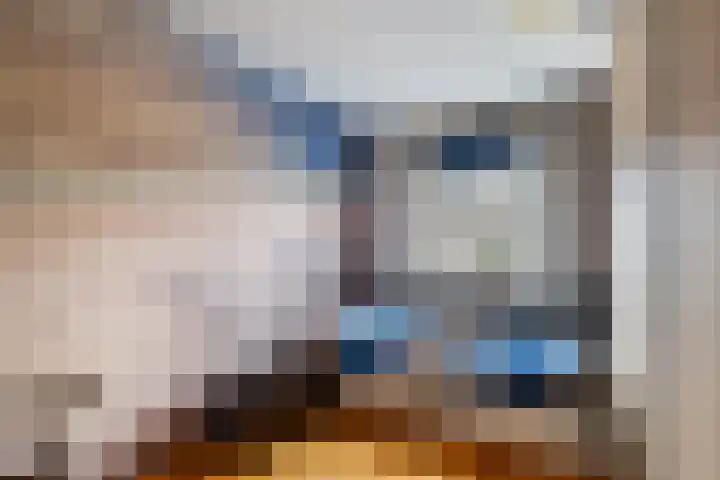 Schelfhout 12 Monster thumbnail 24