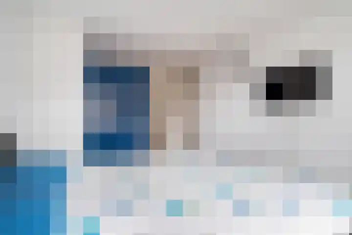 Schelfhout 12 Monster thumbnail 28