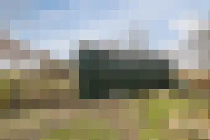 Schelfhout 12 Monster thumbnail 30