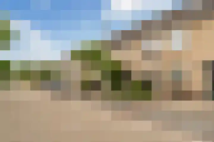 Schelfhout 12 Monster thumbnail 41