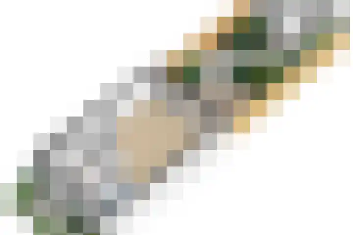 Schelfhout 12 Monster thumbnail 47