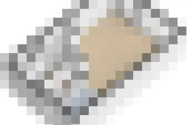 Schelfhout 12 Monster thumbnail 48