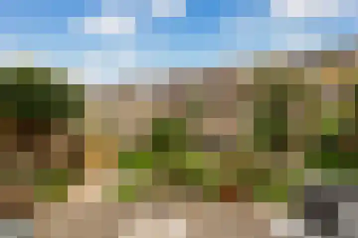 Schelfhout 12 Monster thumbnail 6