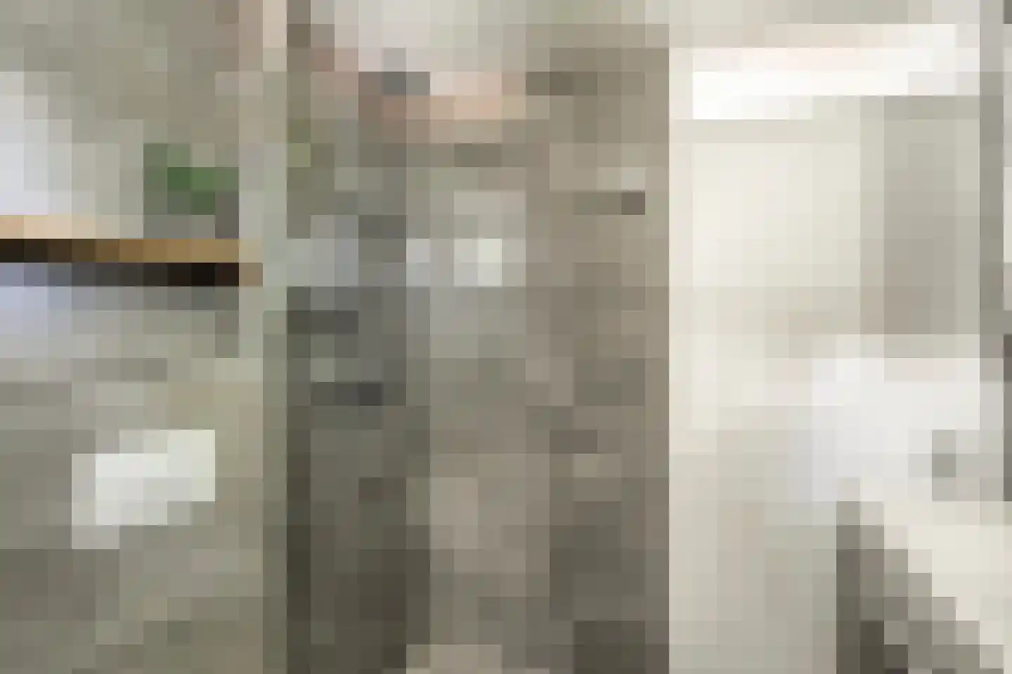 Schelfhout 3 Monster thumbnail 22