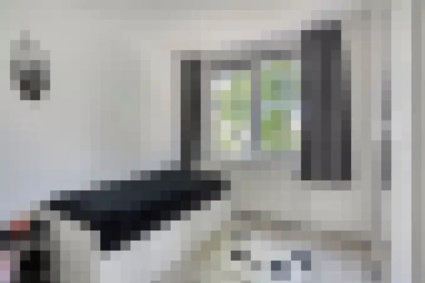 Schelfhout 3 Monster thumbnail 23