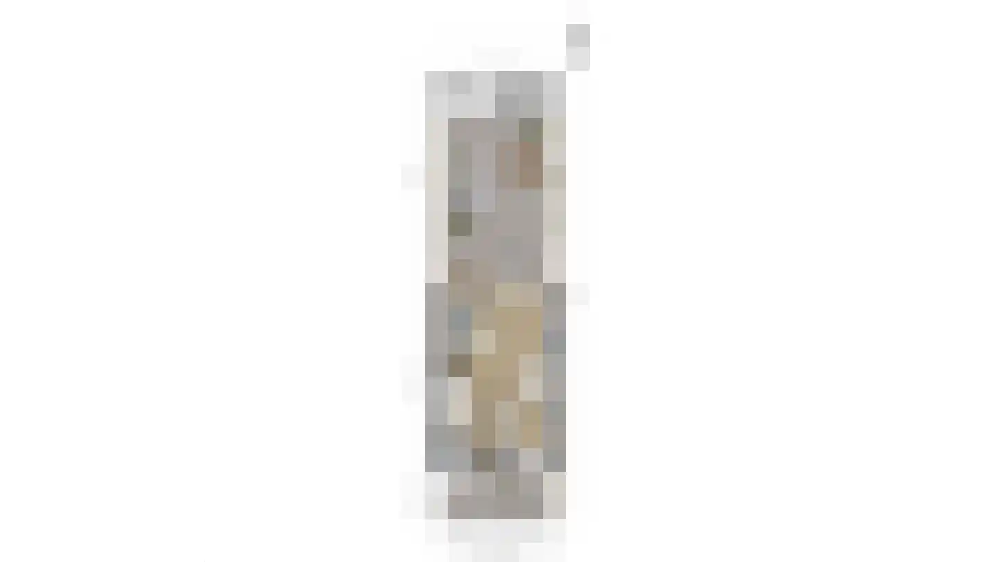 Schelfhout 3 Monster thumbnail 38