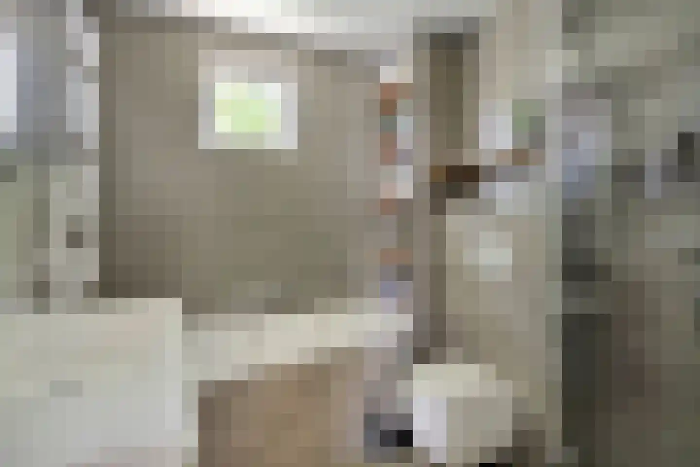 Schelfhout 3 Monster thumbnail 4