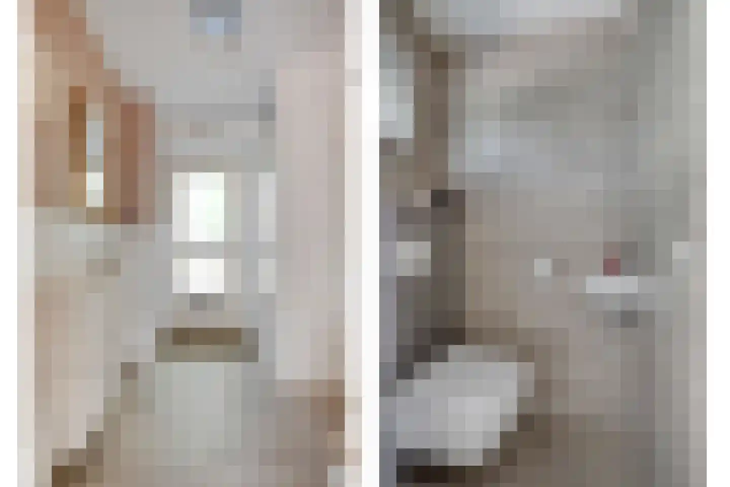 Schelfhout 3 Monster thumbnail 7
