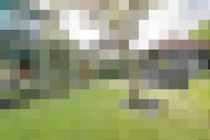 Schelfhouthof 4 Apeldoorn thumbnail 32