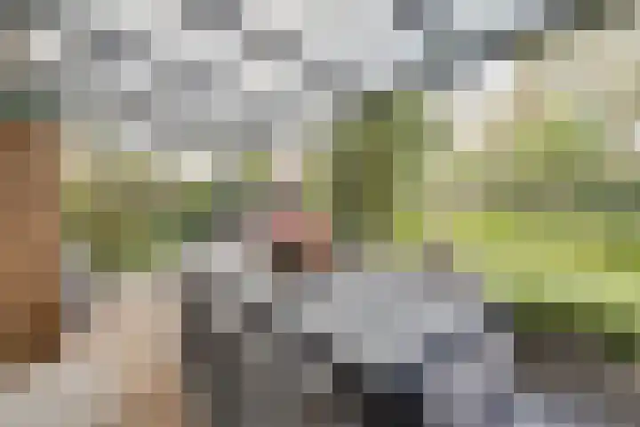 Schelfhouthof 4 Apeldoorn thumbnail 33