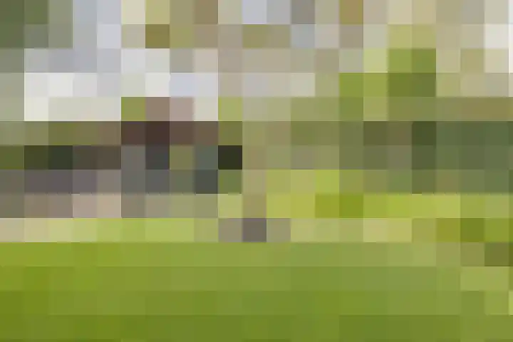 Schelfhouthof 4 Apeldoorn thumbnail 34