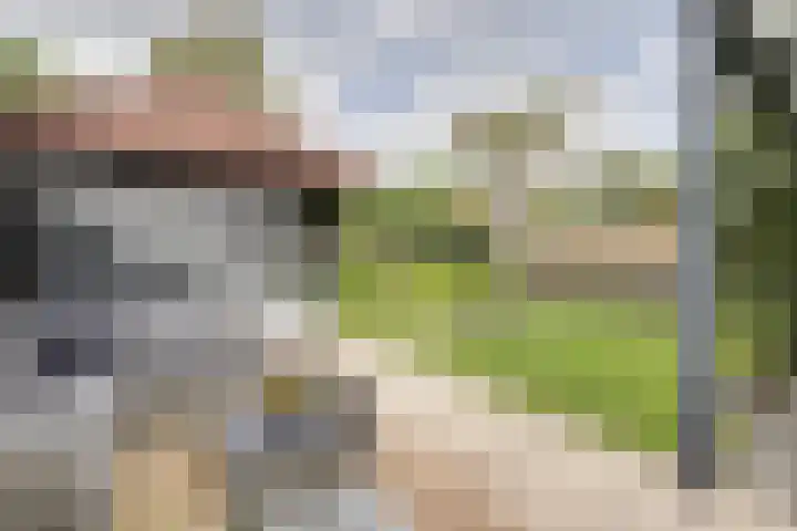 Schelfhouthof 4 Apeldoorn thumbnail 36