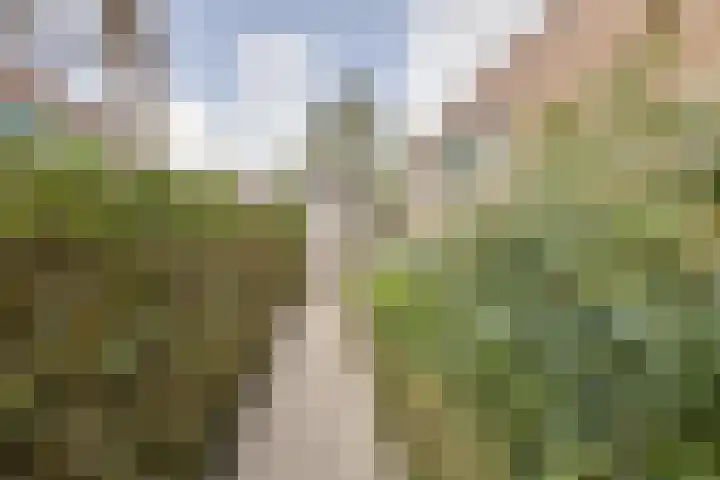 Schelfhouthof 4 Apeldoorn thumbnail 37