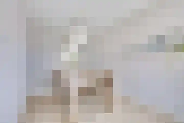 Schelfhouthof 4 Apeldoorn thumbnail 8