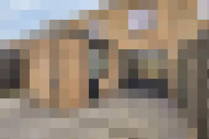 Schelfhoutplantsoen 11 Heerhugowaard thumbnail 37