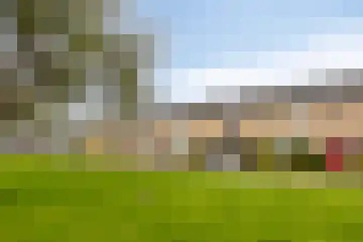 Schelfhoutplantsoen 11 Heerhugowaard thumbnail 40