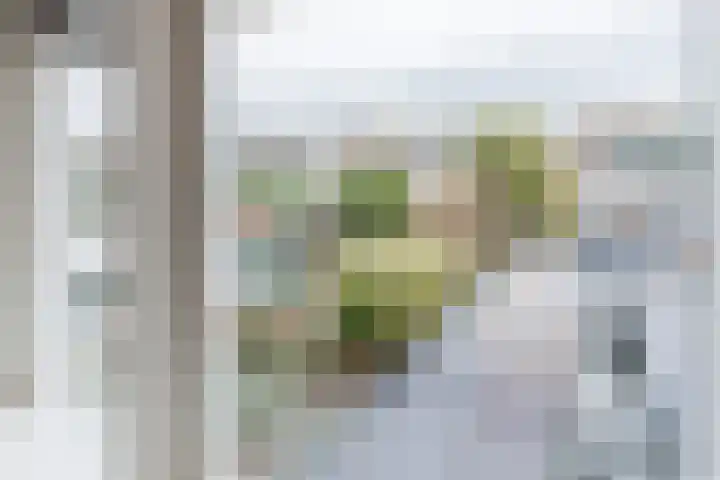 Schelfhoutplantsoen 14 Heerhugowaard thumbnail 39