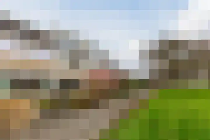 Schelfhoutplantsoen 14 Heerhugowaard thumbnail 4