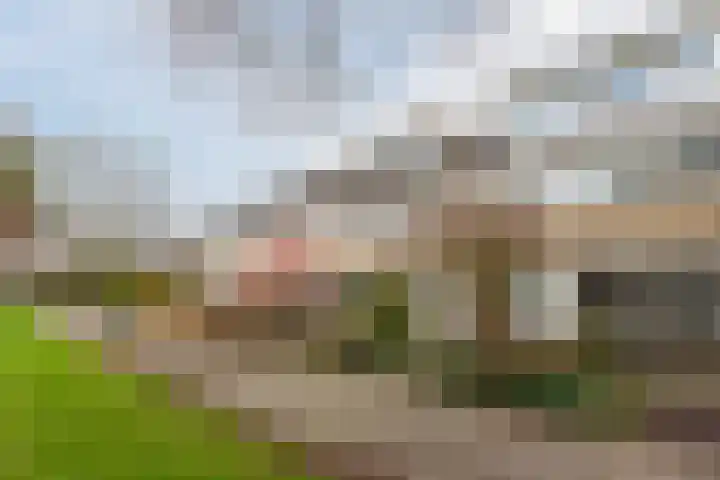 Schelfhoutplantsoen 14 Heerhugowaard thumbnail 5