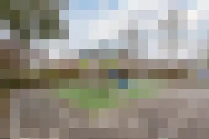 Schelfhoutplantsoen 14 Heerhugowaard thumbnail 54