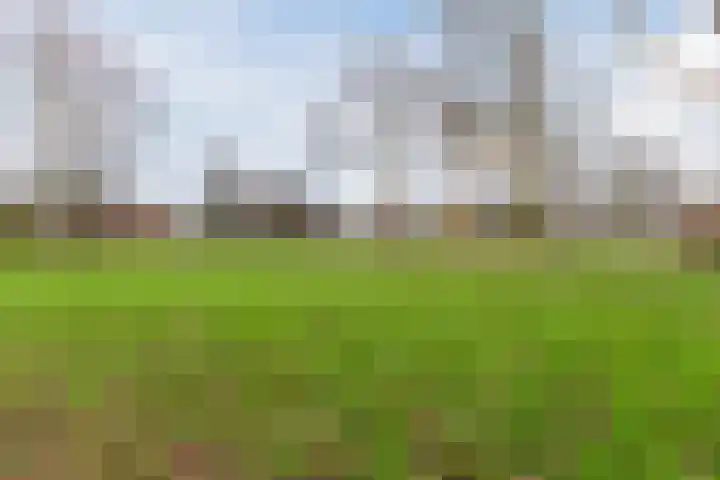 Schelfhoutplantsoen 14 Heerhugowaard thumbnail 55