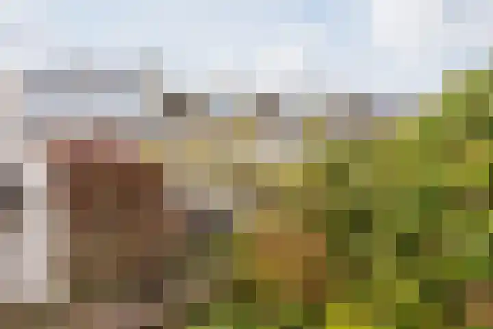 Schelfhoutplantsoen 14 Heerhugowaard thumbnail 64
