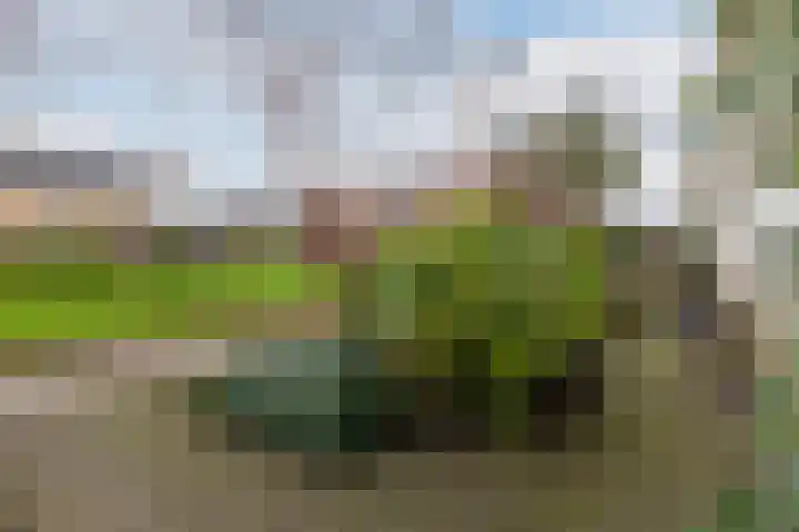 Schelfhoutplantsoen 14 Heerhugowaard thumbnail 7