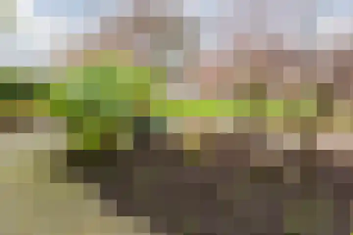 Schelfhoutplantsoen 14 Heerhugowaard thumbnail 8