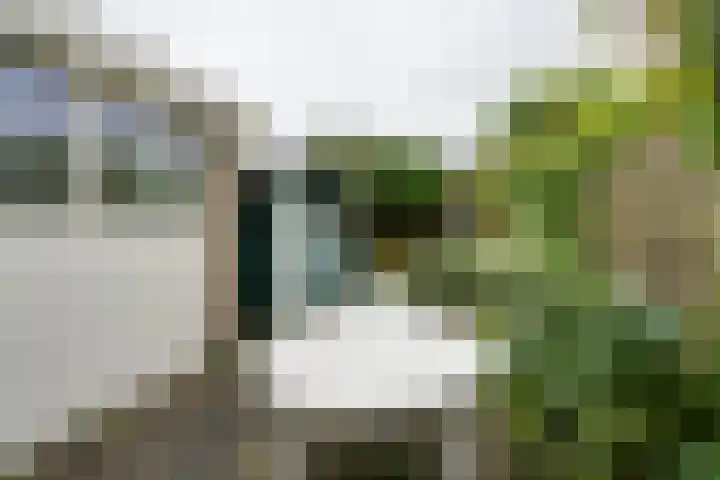 Schelfhoutplantsoen 16 Heerhugowaard thumbnail 24