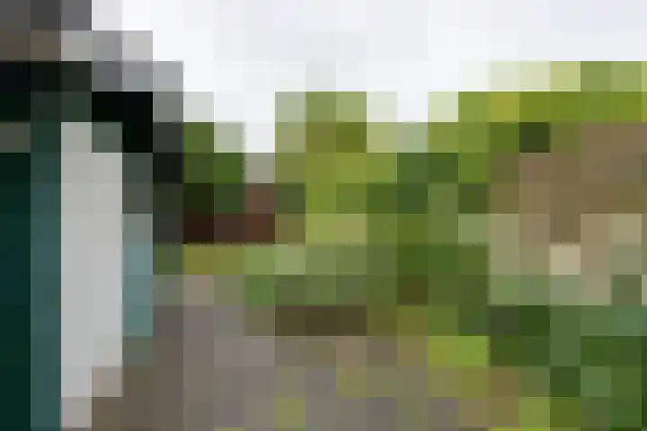 Schelfhoutplantsoen 16 Heerhugowaard thumbnail 25