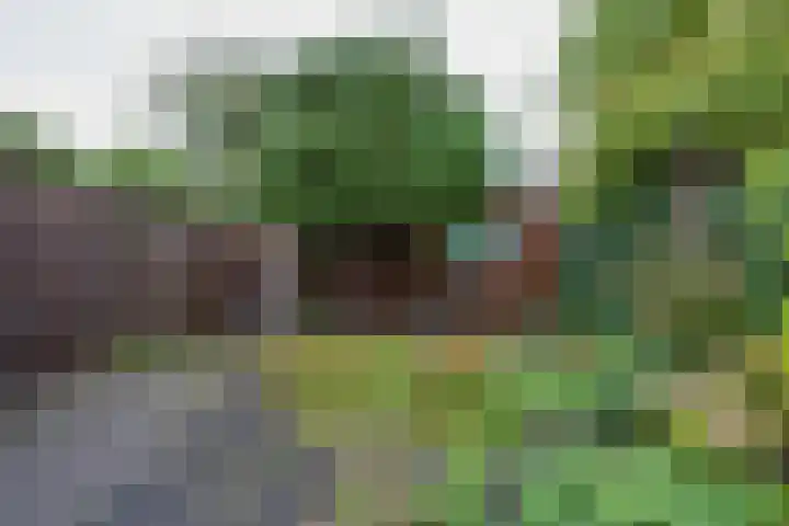 Schelfhoutplantsoen 16 Heerhugowaard thumbnail 26