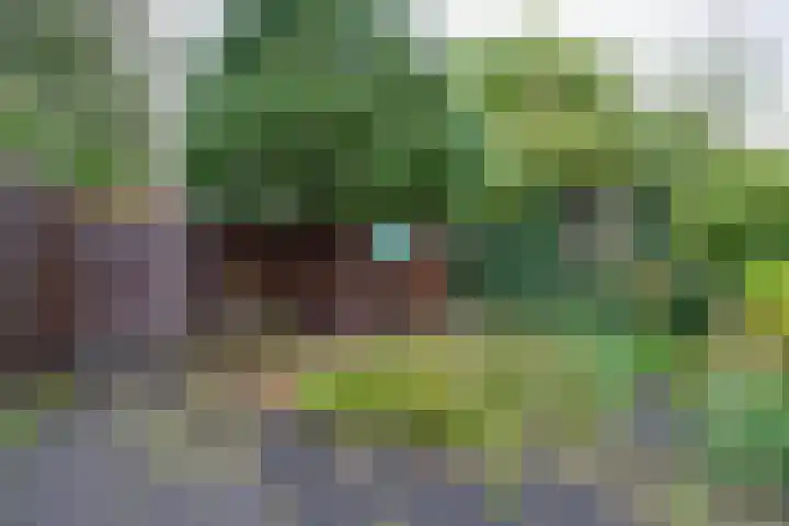 Schelfhoutplantsoen 16 Heerhugowaard thumbnail 27