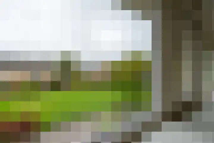Schelfhoutplantsoen 16 Heerhugowaard thumbnail 35
