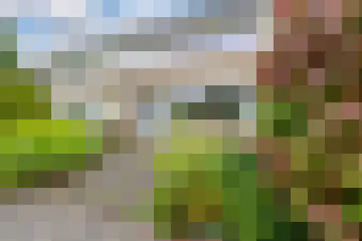 Schelfhoutplantsoen 16 Heerhugowaard thumbnail 4