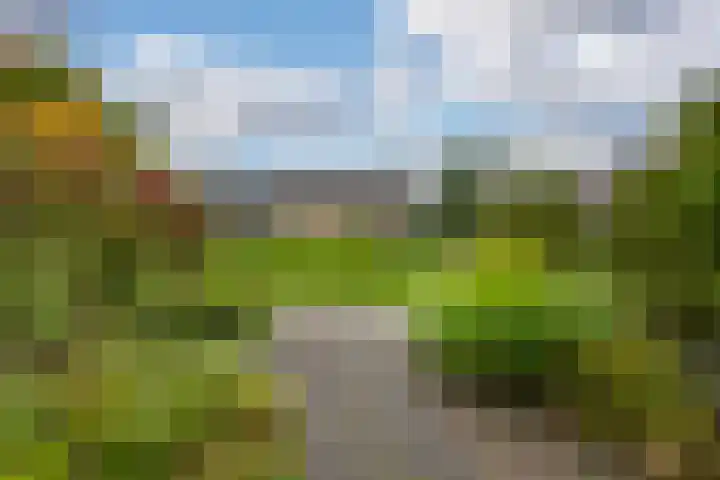 Schelfhoutplantsoen 16 Heerhugowaard thumbnail 5